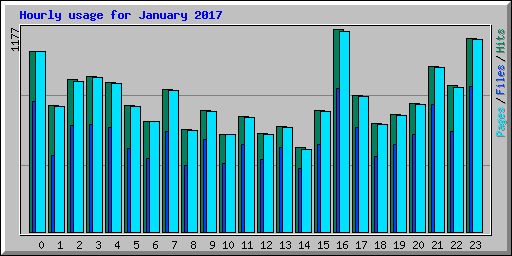 Hourly usage for January 2017